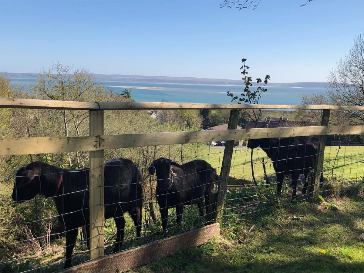 래넬리 Bronllys Farm Coastal Self-Catering 아파트 외부 사진