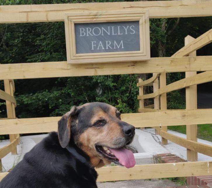 래넬리 Bronllys Farm Coastal Self-Catering 아파트 외부 사진
